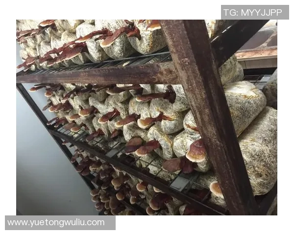 足球明星祝贺语句大全激励你我共庆胜利与梦想成真 足球明星祝贺语句大全激励你我共庆胜利与梦想成真