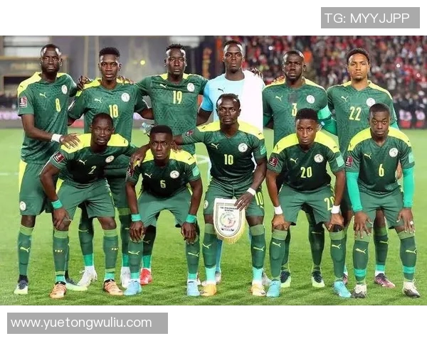 塞内加尔与阿尔及利亚比赛分析及推荐策略详解