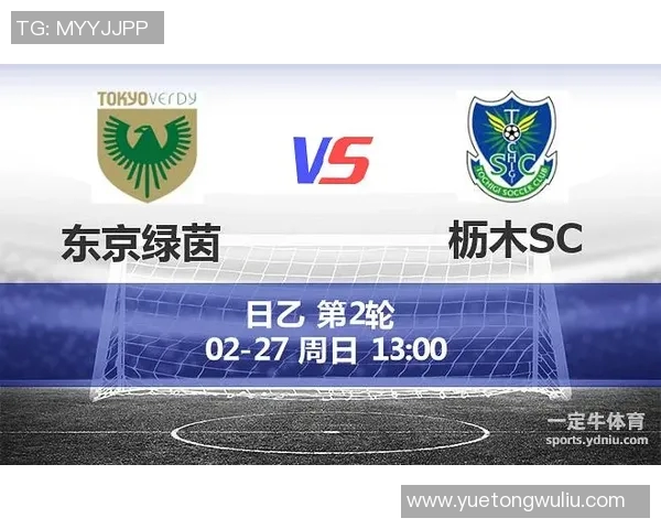 梳球对阵枥木SC精彩回顾与分析揭示比赛背后的战术博弈与球员表现 梳球对阵枥木SC精彩回顾与分析揭示比赛背后的战术博弈与球员表现